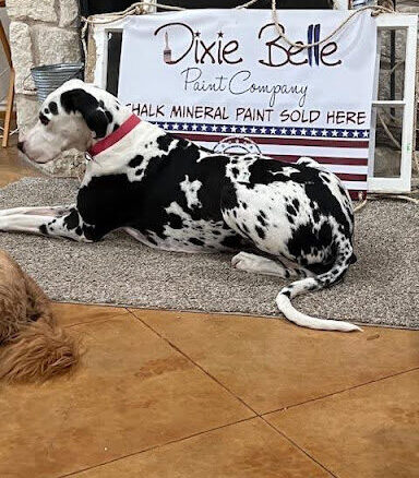 furniture restoration Austin